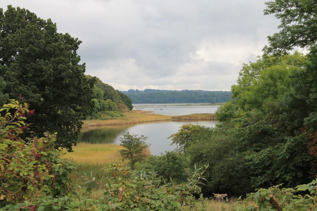 img 7685